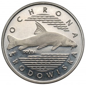 Próba NIKIEL 100 złotych 1977 Brzana