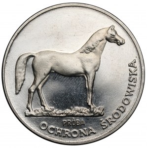 Próba NIKIEL 100 złotych 1981 Koń