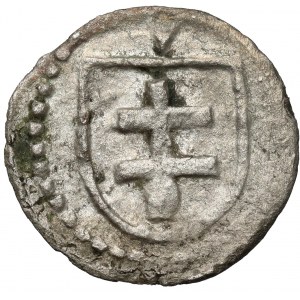 Władysław II Jagiełło, Denar Wschowa - litera V