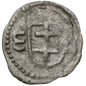 Władysław III Warneńczyk, Denar Wschowa - b.rzadki