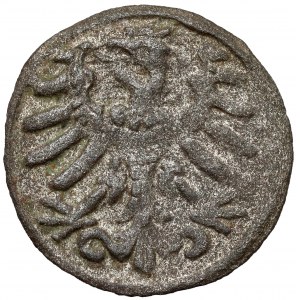 Zygmunt I Stary, Denar Kraków bez daty (1527-29) - SP i szable