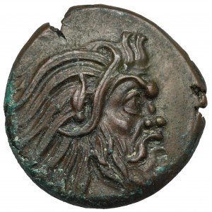 Grecja, Tracja / Chersonez, Pantikapajon, AE21 (345-310 p.n.e.) - szeroka głowa