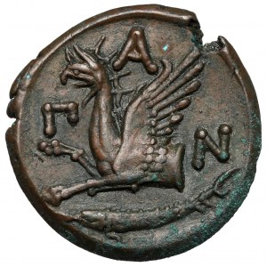 Grecja, Tracja / Chersonez, Pantikapajon, AE21 (345-310 p.n.e.) - szeroka głowa