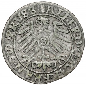 Prusy, Albert Hohenzollern, Grosz Królewiec 1558 - bardzo rzadki