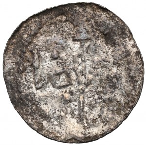 Bolesław III Krzywousty, Denar - Rycerz i św. Wojciech