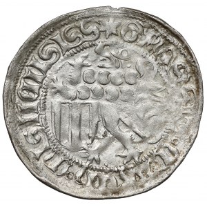 Saksonia, Friedrich II (?) Schildgroschen (1428-1464)