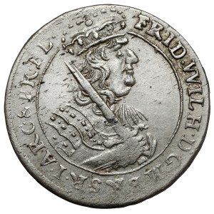 Prusy-Brandenburgia, Friedrich Wilhelm I, Ort 1682 HS, Königsberg