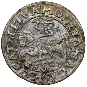 Zygmunt II August, Półgrosz Wilno 1555