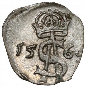 Zygmunt II August, Dwudenar Wilno 1569