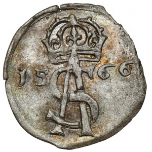 Zygmunt II August, Dwudenar Wilno 1566