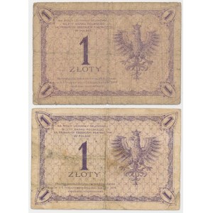 1 złoty 1919 - S.9 B i S.30 C - zestaw (2szt)