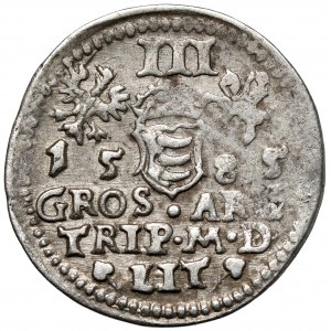 Stefan Batory, Trojak Wilno 1585 - herb Lis