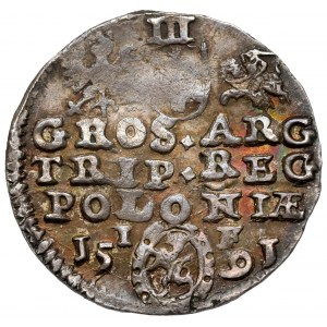 Zygmunt III Waza, Trojak Olkusz 1591
