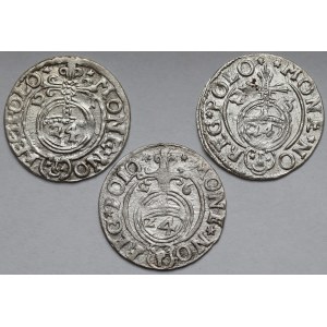 Zygmunt III Waza, Półtorak Bydgoszcz 1621-1626 - zestaw (3szt)