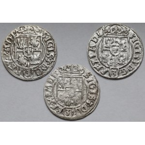 Zygmunt III Waza, Półtorak Bydgoszcz 1621-1626 - zestaw (3szt)