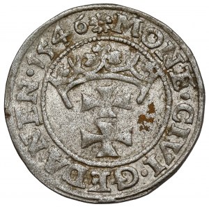 Zygmunt I Stary, Szeląg Gdańsk 1546