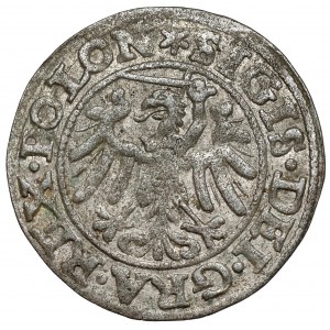 Zygmunt I Stary, Szeląg Gdańsk 1546