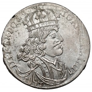 Jan II Kazimierz, Ort Kraków 1655 IT - kwiat - piękny