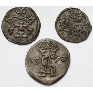 Zygmunt II August, Denary i Dwudenar, Gdańsk i Wilno 1557-1570 - zestaw (3szt)
