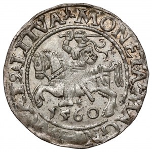 Zygmunt II August, Półgrosz Wilno 1560