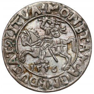 Zygmunt II August, Półgrosz Wilno 1556