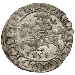 Zygmunt II August, Półgrosz Wilno 1558