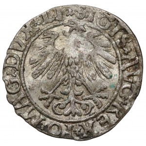 Zygmunt II August, Półgrosz Wilno 1558