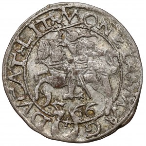 Zygmunt II August, Półgrosz Tykocin 1566 - Jastrzębiec