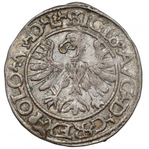 Zygmunt II August, Półgrosz Tykocin 1566 - Jastrzębiec