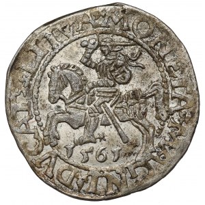Zygmunt II August, Półgrosz Wilno 1561