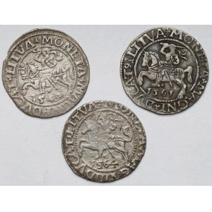 Zygmunt II August, Półgrosz Wilno 1549-1564 - zestaw (3szt)