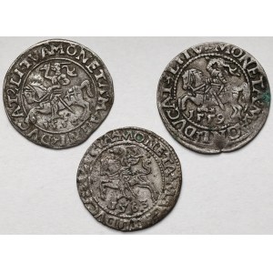 Zygmunt II August, Półgrosz Wilno 1556-1563 - zestaw (3szt)