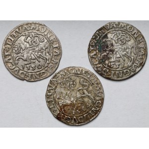 Zygmunt II August, Półgrosz Wilno 1550-1564 - zestaw (3szt)