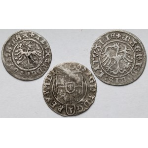 Aleksander Jagiellończyk, Zygmunt I Stary i III Waza, Półgrosze i Półtorak - zestaw (3szt)