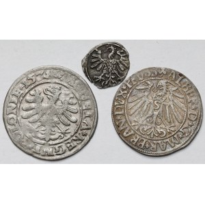 Zygmunt I Stary, II August i Albrecht Hohenzollern, Grosze i Denar 1528-1559 - zestaw (3szt)