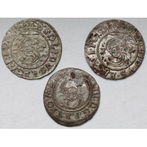 Zygmunt III Waza, Szeląg Bydgoszcz i Wilno 1624-1626 - zestaw (3szt)