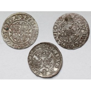 Zygmunt III Waza, Szeląg Bydgoszcz i Wilno 1624-1626 - zestaw (3szt)