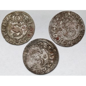 Zygmunt III Waza, Szeląg Bydgoszcz 1623-1626 - zestaw (3szt)