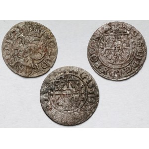 Zygmunt III Waza, Szeląg Bydgoszcz 1623-1626 - zestaw (3szt)