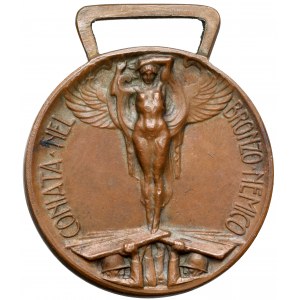 Włochy, Wiktor Emmanuel III, Medal za I wojnę światową