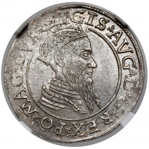 Zygmunt II August, Czworak Wilno 1566