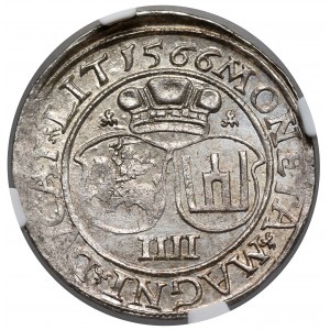 Zygmunt II August, Czworak Wilno 1566