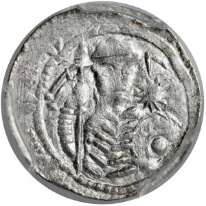 Władysław II Wygnaniec, Denar - Książę z proporcem i tarczą - B.RZADKI