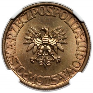 5 złotych 1975