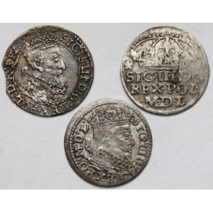Zygmunt III Waza, Grosz Bydgoszcz, Gdańsk i Wilno 1624-1626 - zestaw (3szt)