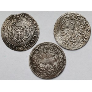Zygmunt III Waza, Grosz Bydgoszcz, Gdańsk i Wilno 1624-1626 - zestaw (3szt)