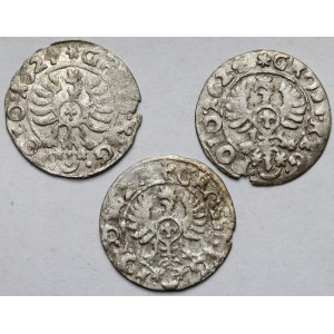 Zygmunt III Waza, Grosz Bydgoszcz 1624 - zestaw (3szt)