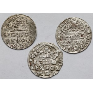 Zygmunt III Waza, Grosz Bydgoszcz 1624 - zestaw (3szt)