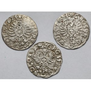 Zygmunt III Waza, Grosz Bydgoszcz 1624 - zestaw (3szt)