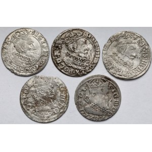 Zygmunt III Waza, Grosz Wilno i Gdańsk 1625-1626 - zestaw (5szt)